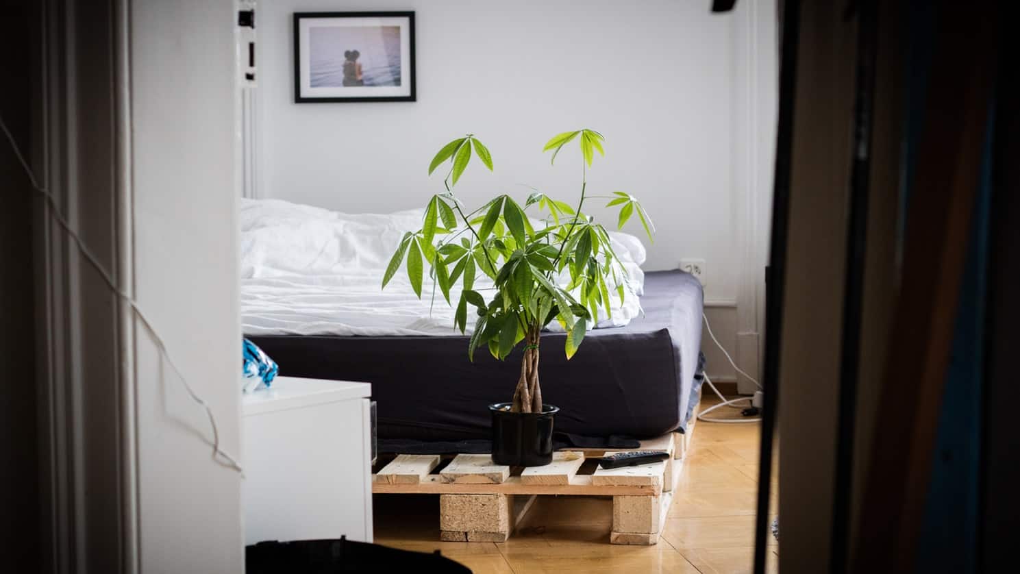 Best Mini Fridge For Your Home Apartment Or Dorm Room