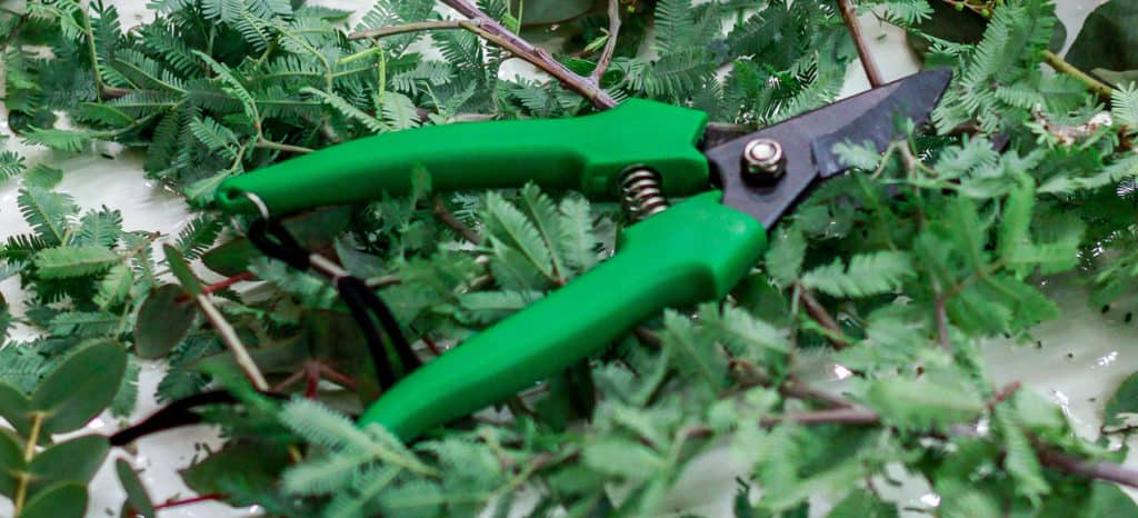 The Best Pruning Shears of 2019
