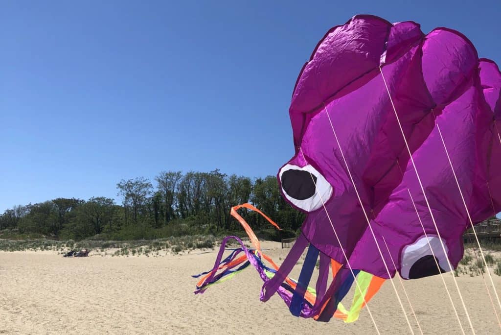 The Best Kites For Kids