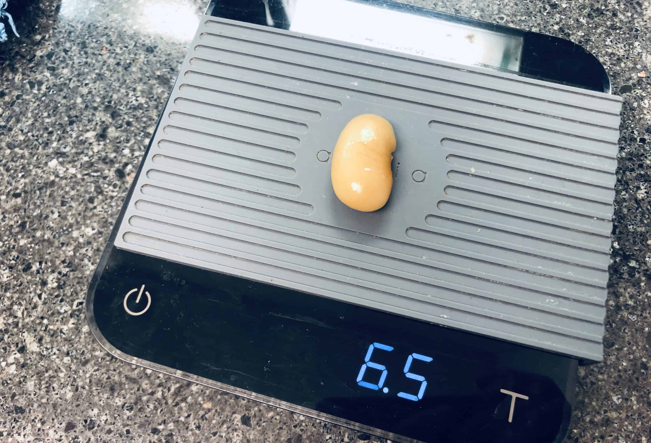 What Are The Largest Beans For Eating? Help At My Home