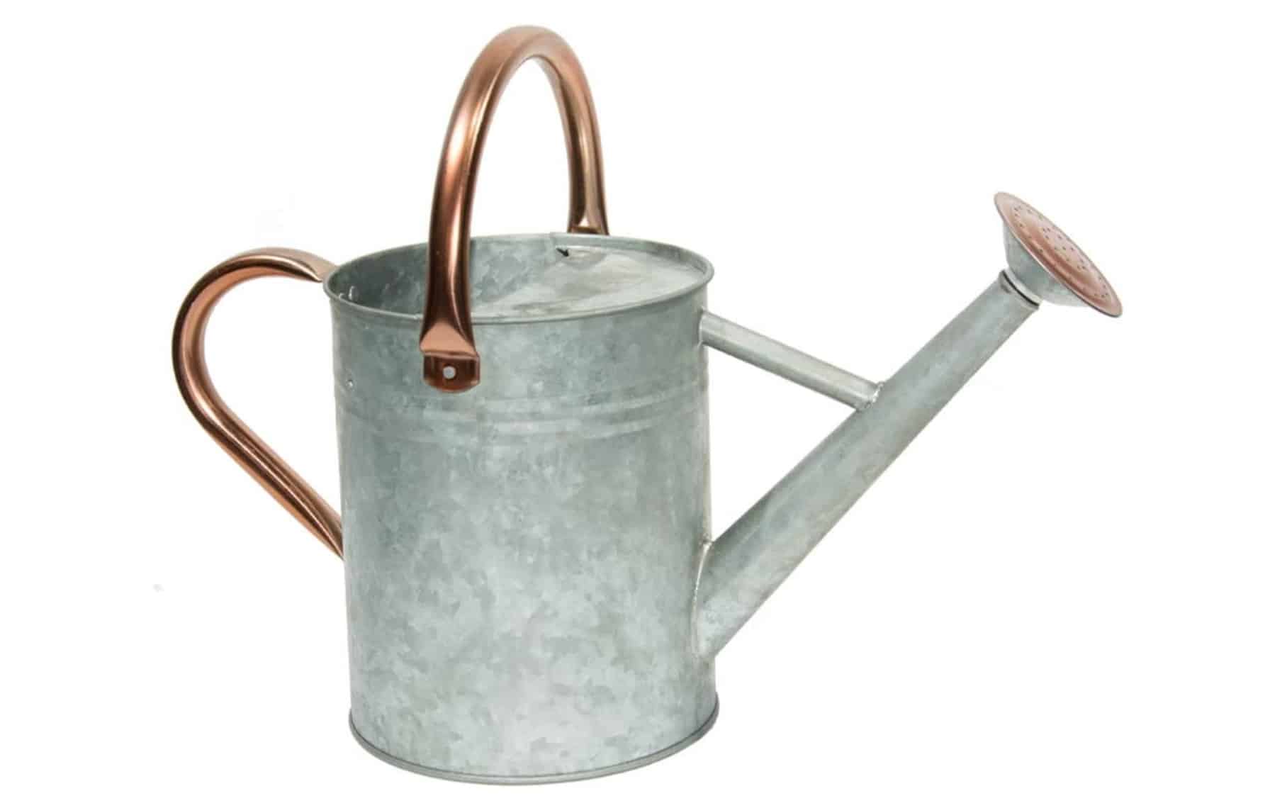 The Best Metal Watering Can For Home Gardens Help At My Home