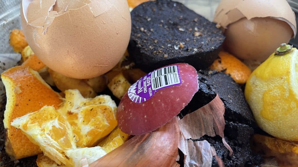 Can You Compost Fruit Stickers?